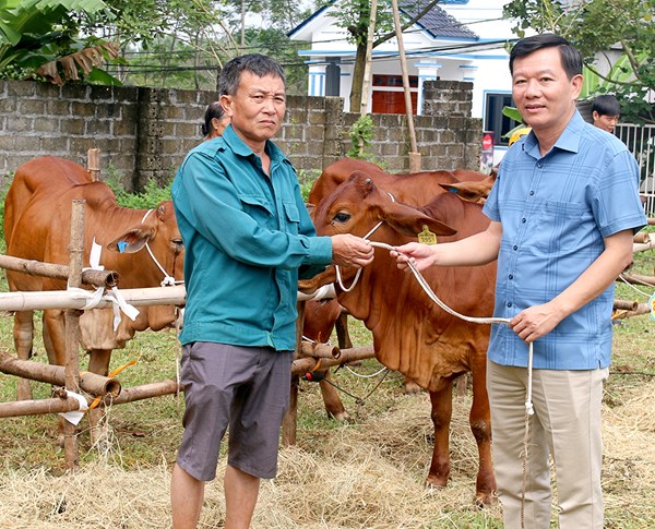 Phù Ninh: Tạo sinh kế cho người nghèo