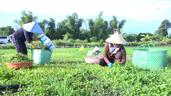 MTTQ các cấp huyện Diên Khánh: Lan tỏa nhiều cách làm hay