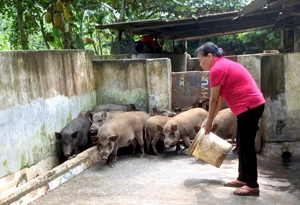 Huyện Yên Lập: Đào tạo nghề cho đồng bào dân tộc thiểu số