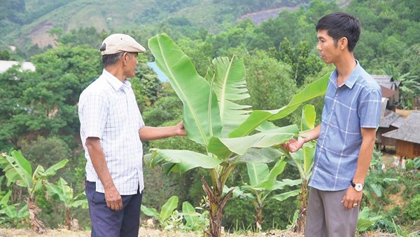 Hiệu quả Chương trình mục tiêu quốc gia phát triển kinh tế - xã hội vùng đồng bào dân tộc thiểu số ở Quảng Trị