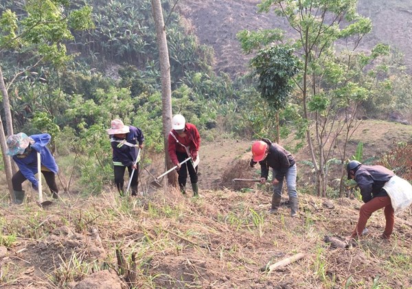 Nghệ An: Ưu tiên giải quyết chính sách về đất đai cho đồng bào dân tộc thiểu số