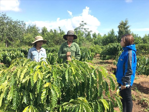 Huyện Ngọc Hồi: Thực hiện hỗ trợ, giải quyết đất ở, nhà ở cho hộ dân tộc thiểu số