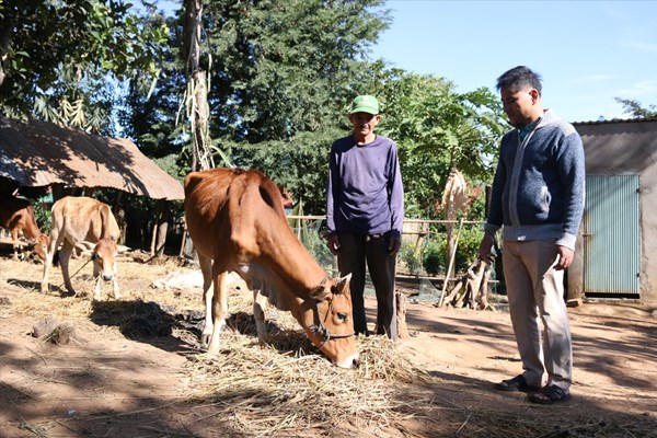 Sức sống mới ở các thôn, làng đồng bào DTTS huyện Sa Thầy