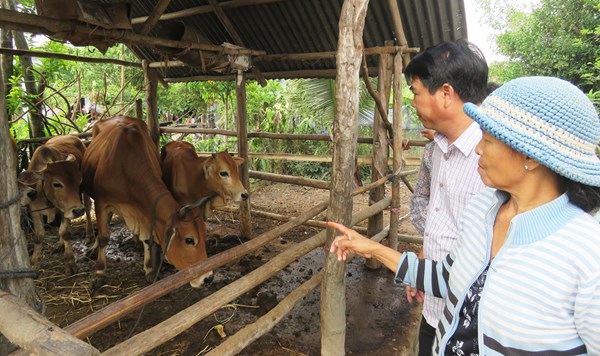 MTTQ các cấp tỉnh Phú Yên cầu nối giúp dân xây dựng nông thôn mới và cuộc sống ấm no, hạnh phúc