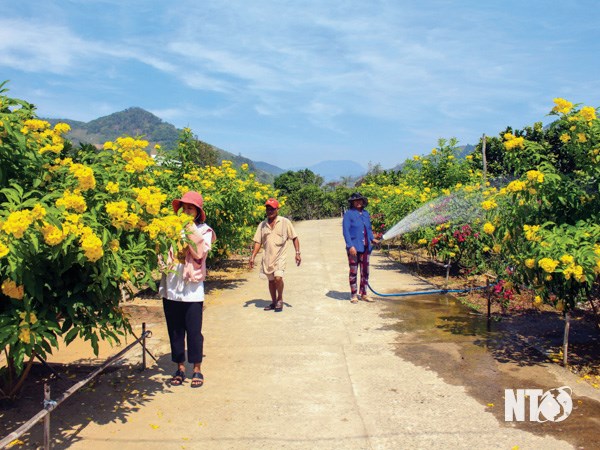 Ninh Thuận: Lan tỏa cuộc vận động “Toàn dân đoàn kết xây dựng nông thôn mới, đô thị văn minh”