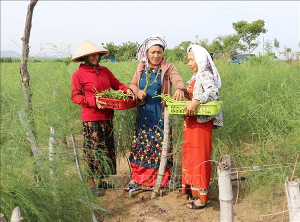 Phát huy vai trò người có uy tín trong vùng đồng bào dân tộc thiểu số 