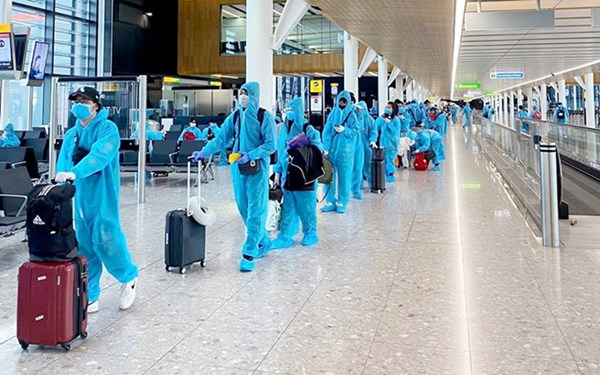 Tiếp tục nhập cảnh hành khách tại sân bay Nội Bài, Tân Sơn Nhất