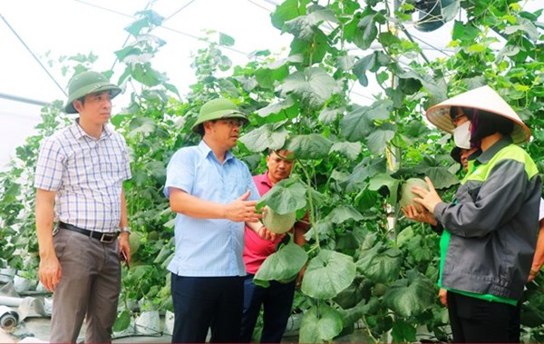 Người Bắc Giang xây dựng nông thôn mới 