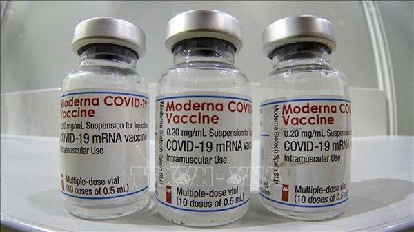 Kiều bào đề nghị tặng 50.000 lọ vaccine phòng COVID-19 cho TP Hồ Chí Minh