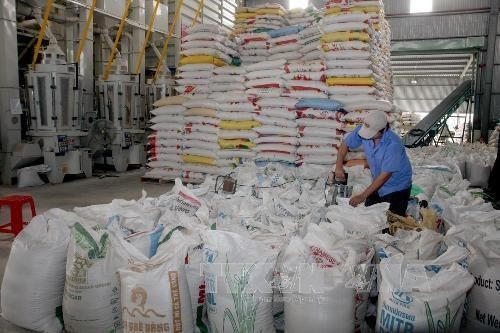 Hà Nội gửi tặng thành phố Hồ Chí Minh 5.000 tấn gạo, tỉnh Bình Dương 1.000 tấn gạo