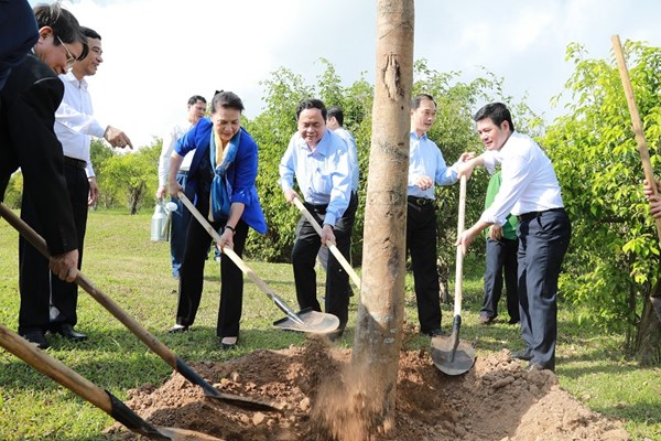 Nhanh chóng đưa Thái Bình hoàn thành mục tiêu xây dựng nông thôn mới
