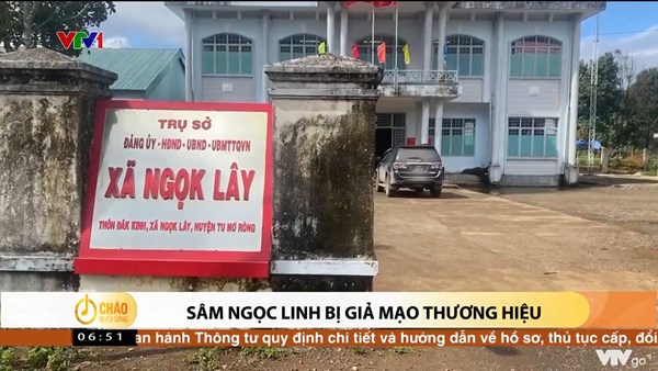 Alo Chào buổi sáng - VTV1 - 25/01/2022 – Sâm Ngọc Linh bị giả mạo thương hiệu