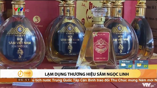 Alo Chào buổi sáng - VTV1 - 26/01/2022 – Lạm dụng thương hiệu sâm Ngọc Linh