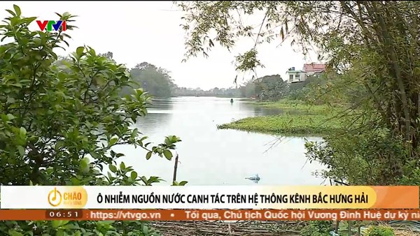 Alo Chào buổi sáng - VTV1 - 24/03/2024 - Ô nhiễm nguồn nước canh tác trên hệ thống kênh Bắc Hưng Hải