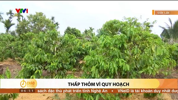 Alo Chào buổi sáng - VTV1 - 04/05/2024 - Thấp thỏm vì quy hoạch