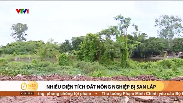 Alo Chào buổi sáng - VTV1 - 31/07/2024 - Nhiều diện tích đất nông nghiệp bị san lấp