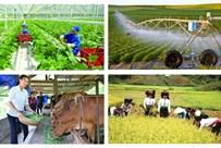 Kết luận của Bộ Chính trị về tiếp tục thực hiện Nghị quyết số 19-NQ/TW về nông nghiệp, nông dân, nông thôn đến năm 2030, tầm nhìn đến năm 2045