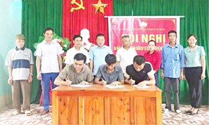 Ủy ban MTTQ các cấp huyện Như Thanh xây dựng môi trường sống xanh, sạch, đẹp, an toàn