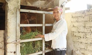 Huyện Đức Thọ phát huy vai trò của Mặt trận trong công tác giảm nghèo