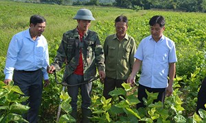 MTTQ các cấp tỉnh Yên Bái đẩy mạnh hoạt động về cơ sở
