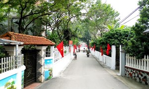 Tỉnh Vĩnh Phúc: Lan tỏa phong trào xây dựng khu dân cư sáng, xanh, sạch, đẹp 