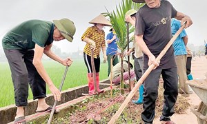 Thái Nguyên: Huy động sức dân, chung tay xây dựng nông thôn mới
