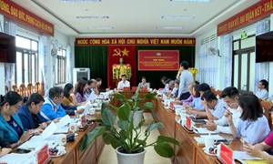 Cơ quan Ủy ban Mặt trận Tổ quốc Việt Nam tỉnh Gia Lai (mới) dự kiến có 10 ban