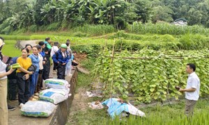 Bắc Kạn: Lan tỏa sức mạnh đoàn kết trong xây dựng nông thôn mới