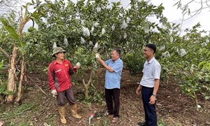 Thanh Hóa: Phát huy vai trò của MTTQ trong xây dựng nông thôn mới