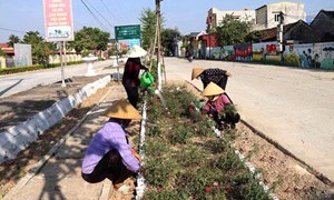 Những mô hình tiêu biểu trong xây dựng nông thôn mới ở huyện Thiệu Hóa