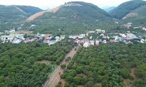Tỉnh Sơn La chung sức xây dựng nông thôn mới