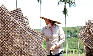 Huyện Lâm Hà thực hiện hiệu quả các chương trình, dự án giảm nghèo
