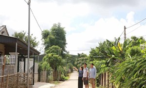 Bản Nặm Dên đoàn kết xây dựng nông thôn mới