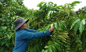 Khơi thông ý thức giảm nghèo trong đồng bào DTTS ở xã Tà Đùng