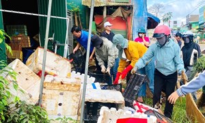 Phụ nữ tỉnh Lâm Đồng chung tay bảo vệ môi trường