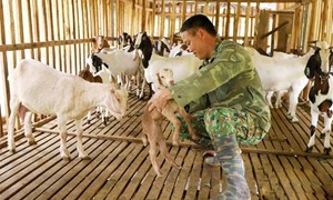 Thái Nguyên: Trao 'cần câu' giúp đồng bào dân tộc thiểu số thoát nghèo