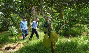 Xã Sơn Cẩm Hà xây dựng xã nông thôn mới nâng cao