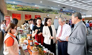 Tỉnh Lâm Đồng: Tạo động lực thúc đẩy phát triển kinh tế tư nhân