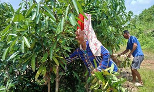 Động lực để người vùng khó thoát nghèo
