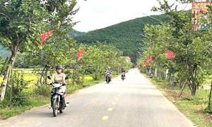 Kim Sơn chung sức dựng xây nông thôn mới