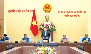 Tập trung cao độ, dành ưu tiên cao nhất cho công tác chuẩn bị Kỳ họp thứ Chín của Quốc hội