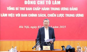 Bài viết của Tổng Bí thư Tô Lâm: 'Phát triển kinh tế tư nhân - Đòn bẩy cho một Việt Nam thịnh vượng' 