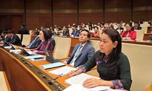99,95% kiến nghị của cử tri đã được giải quyết, trả lời