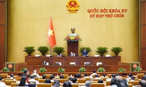 Nội dung chính của tuần làm việc thứ 2, Kỳ họp thứ 9, Quốc hội khóa XV 