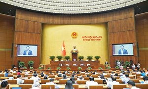 Dự án Luật Ngân sách nhà nước (sửa đổi): Cắt giảm, đơn giản hóa quy trình ngân sách nhà nước