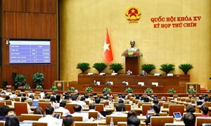Quốc hội quyết định Ngày bầu cử đại biểu Quốc hội Khóa XVI và đại biểu Hội đồng nhân dân các cấp nhiệm kỳ 2026 – 2031