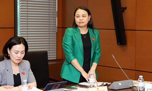 Làm rõ căn cứ pháp lý đối với cụm từ “trực thuộc MTTQ Việt Nam” trong dự án Luật sửa đổi