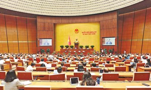 Sẽ hỗ trợ học phí với trẻ em mầm non, học sinh phổ thông tại cơ sở giáo dục dân lập