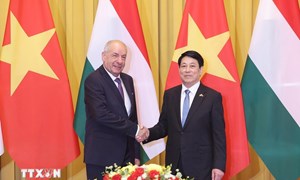 Chủ tịch nước Lương Cường hội đàm với Tổng thống Hungary