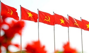 Định hướng sắp xếp, tổ chức lại đơn vị sự nghiệp công lập ở địa phương khi thực hiện mô hình tổ chức chính quyền địa phương 2 cấp